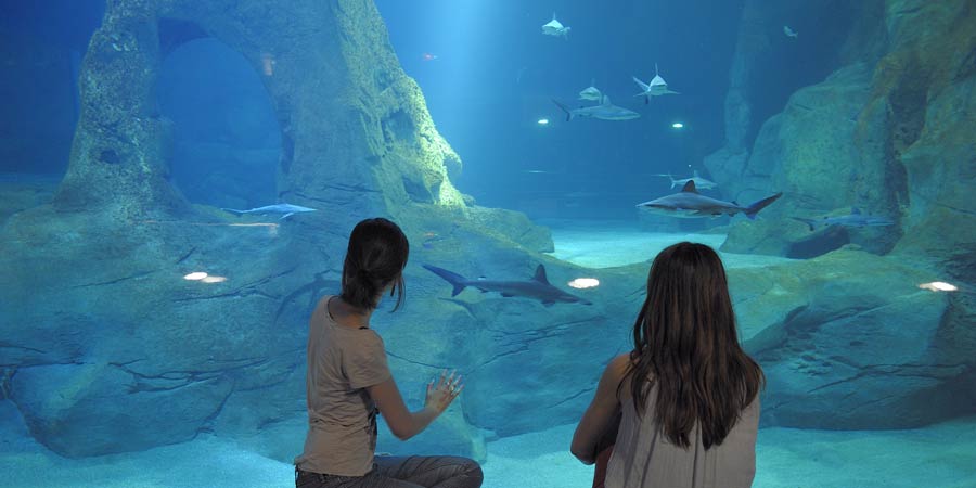 The Biarritz Aquarium has got bigger