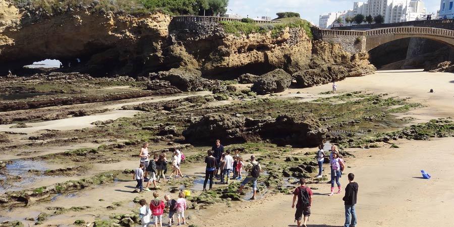 À Pâques, venez à l'Aquarium de Biarritz pour une chasse à l'oeuf originale