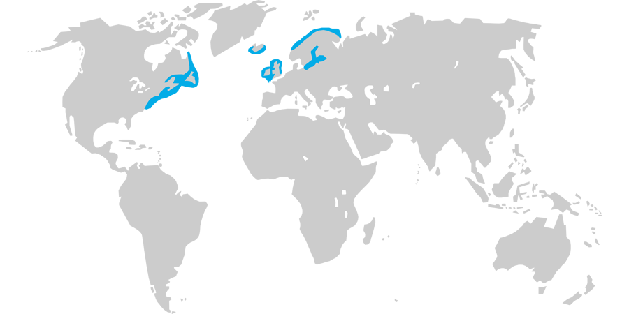 Geographical distribution