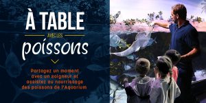 Atelier “À table avec les poissons”