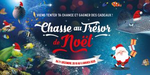 Chasse au trésor de Noël