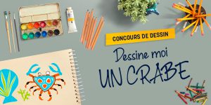 Dessine-moi un crabe