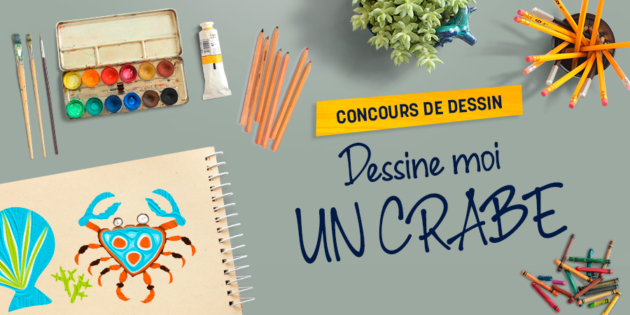 Concours de dessins