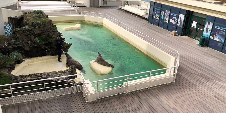 L'Aquarium de Biarritz, la vie continue malgré le confinement