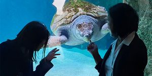 Partenariat avec l'Aquarium de Nouméa