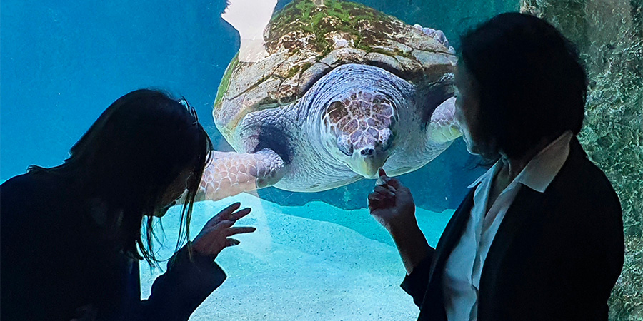 Signature d'un partenariat avec l'Aquarium de Nouméa