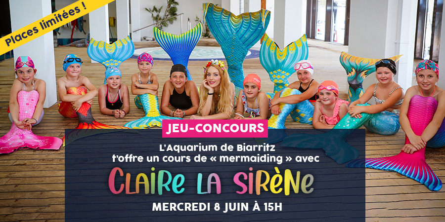 Remportez un cours de mermaiding avec Claire la sirène grâce à l’Aquarium de Biarritz