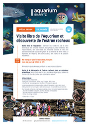 Visite libre et estran rocheux