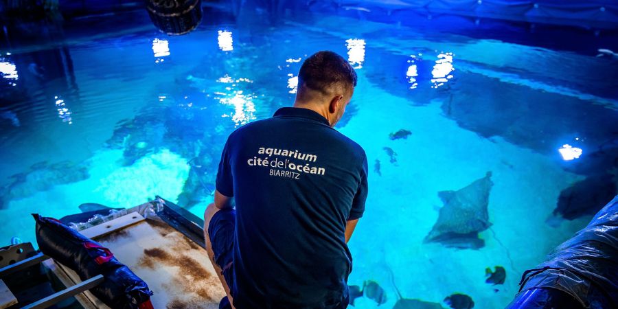 Visitez les coulisses de l’Aquarium de Biarritz