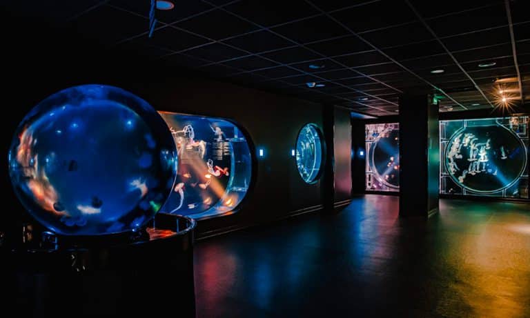 Espace méduses