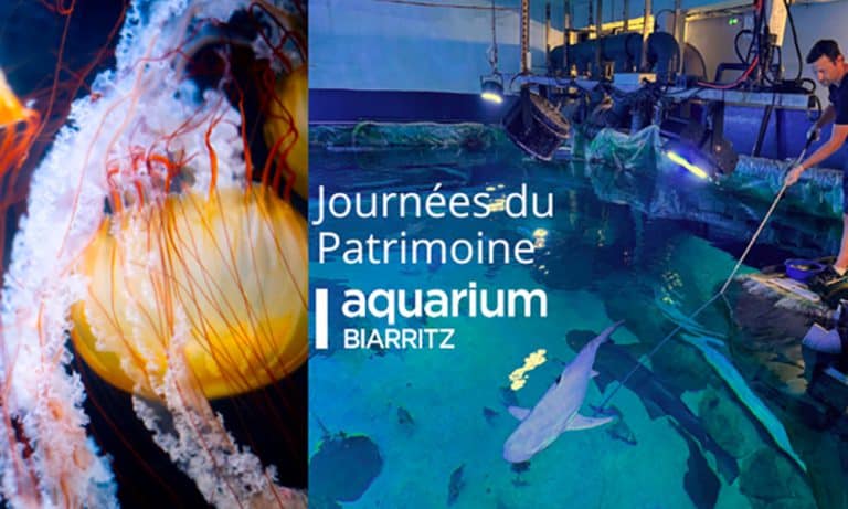 Journées du Patrimoine 2024