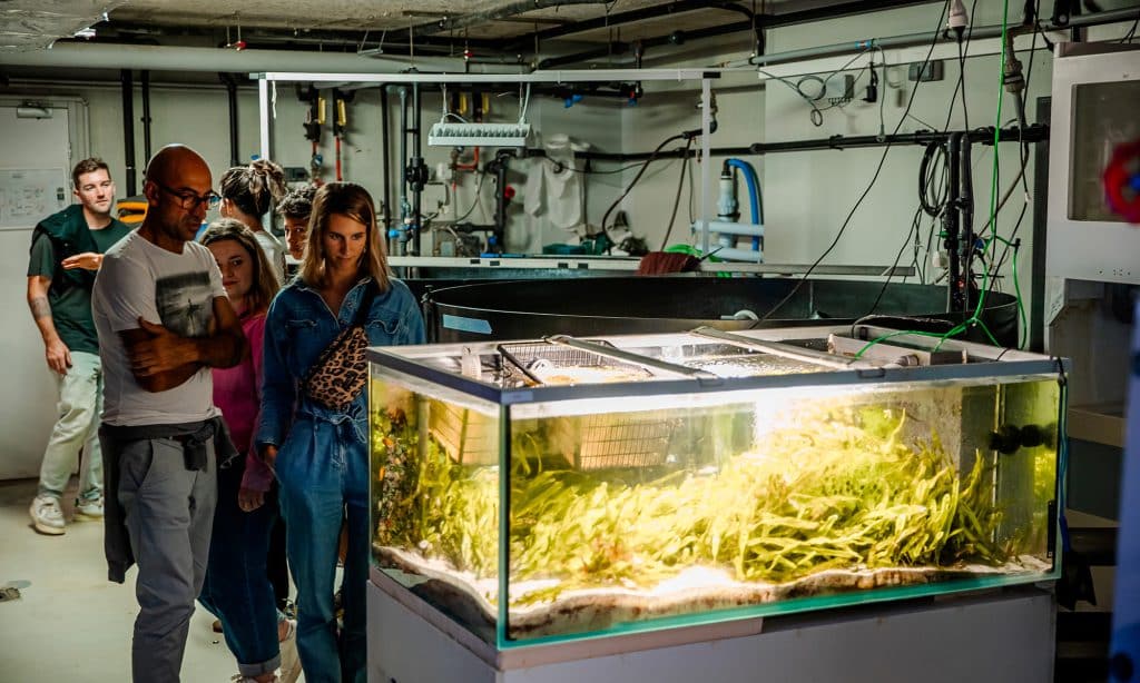 Zone de quarantaine de la visite des coulisses de l’Aquarium de Biarritz
