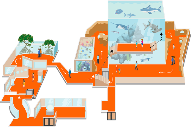 Espace méduses et zone tropicale