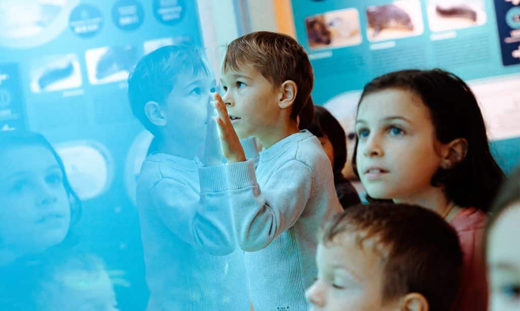 Groupe scolaire - Aquarium de Biarritz