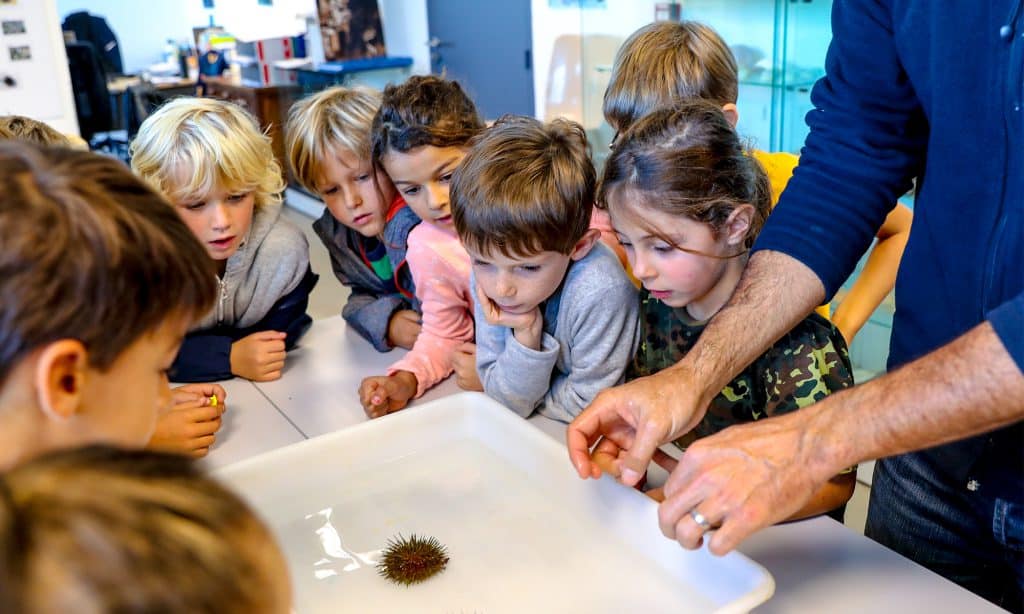 Groupe scolaire - Aquarium de Biarritz