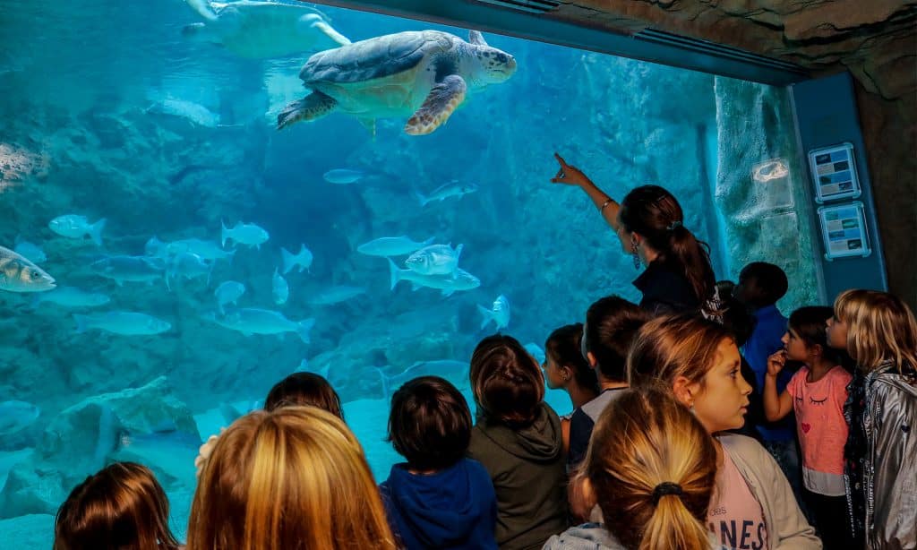 Groupe scolaire - Aquarium de Biarritz