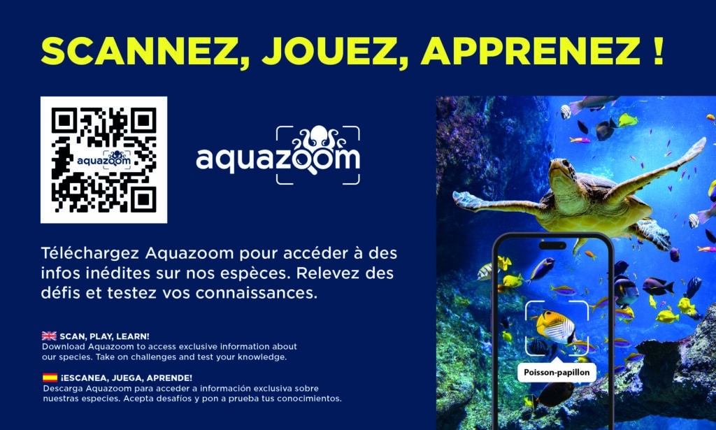 Aquazoom, l'application de l'Aquarium de Biarritz