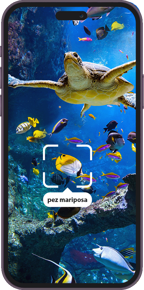 Aquazoom - Screenshot