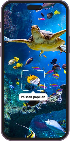 Aquazoom - Screenshot