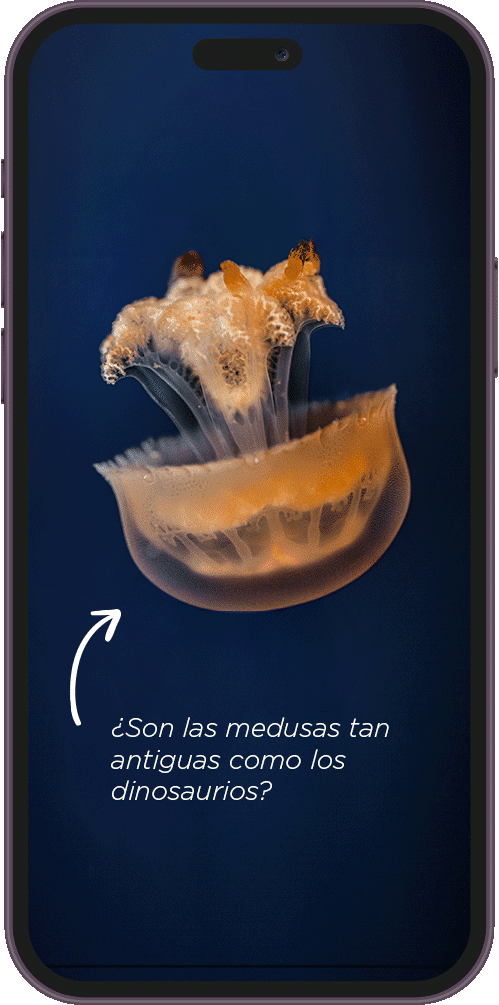 Aquazoom - Screenshot
