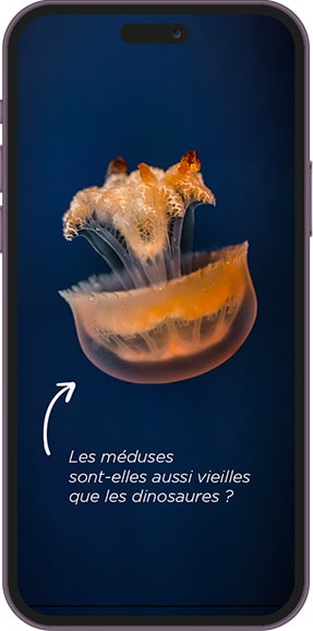 Aquazoom - Screenshot