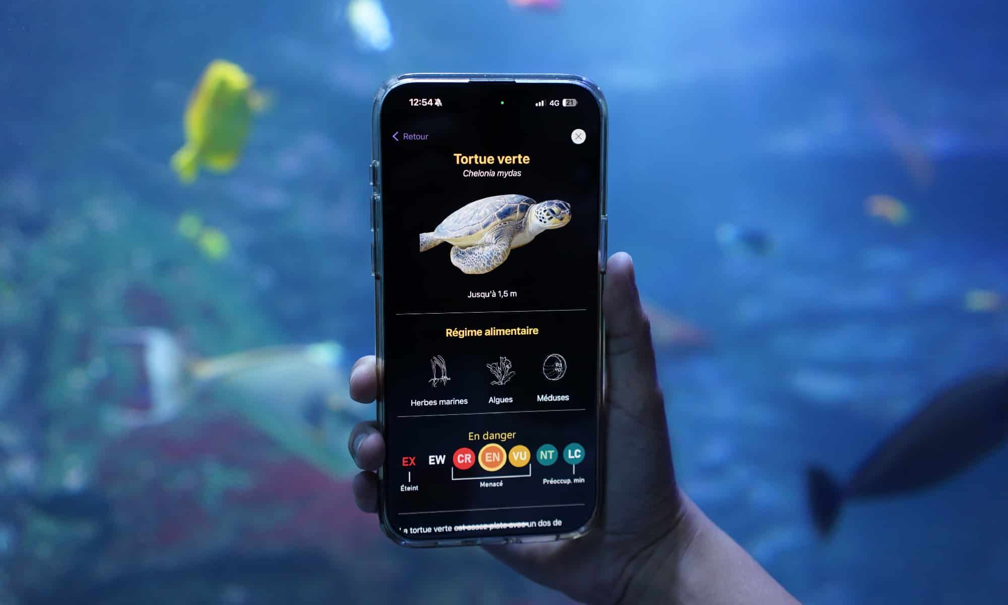 Application Aquazoom