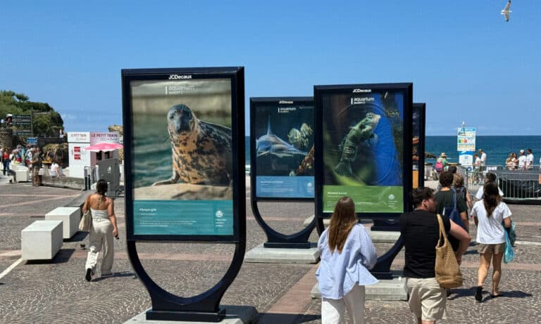 Exposition photo en plein air