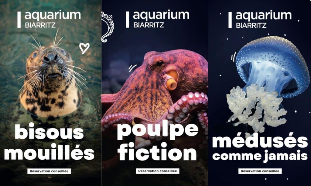 Affichage de l'Aquarium cet été en 2025