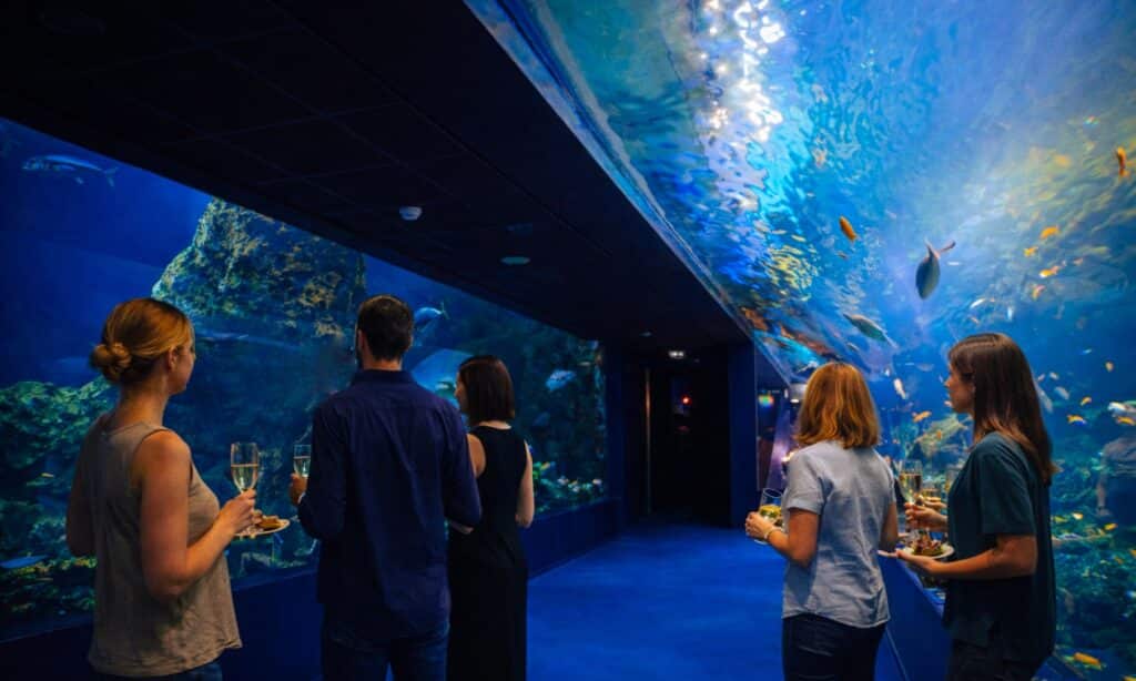 Balade gourmande à l'Aquarium de Biarritz.