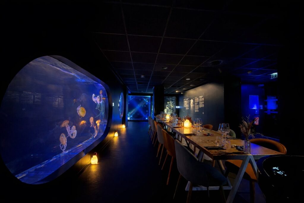 Dîner dans l'espace méduse, un évènement inédit à l'Aquarium de Biarritz.