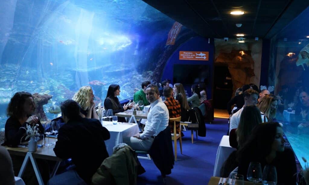 Un dîner dans le tunnel entre les tortues et les requins pour la Saint-Valentin.