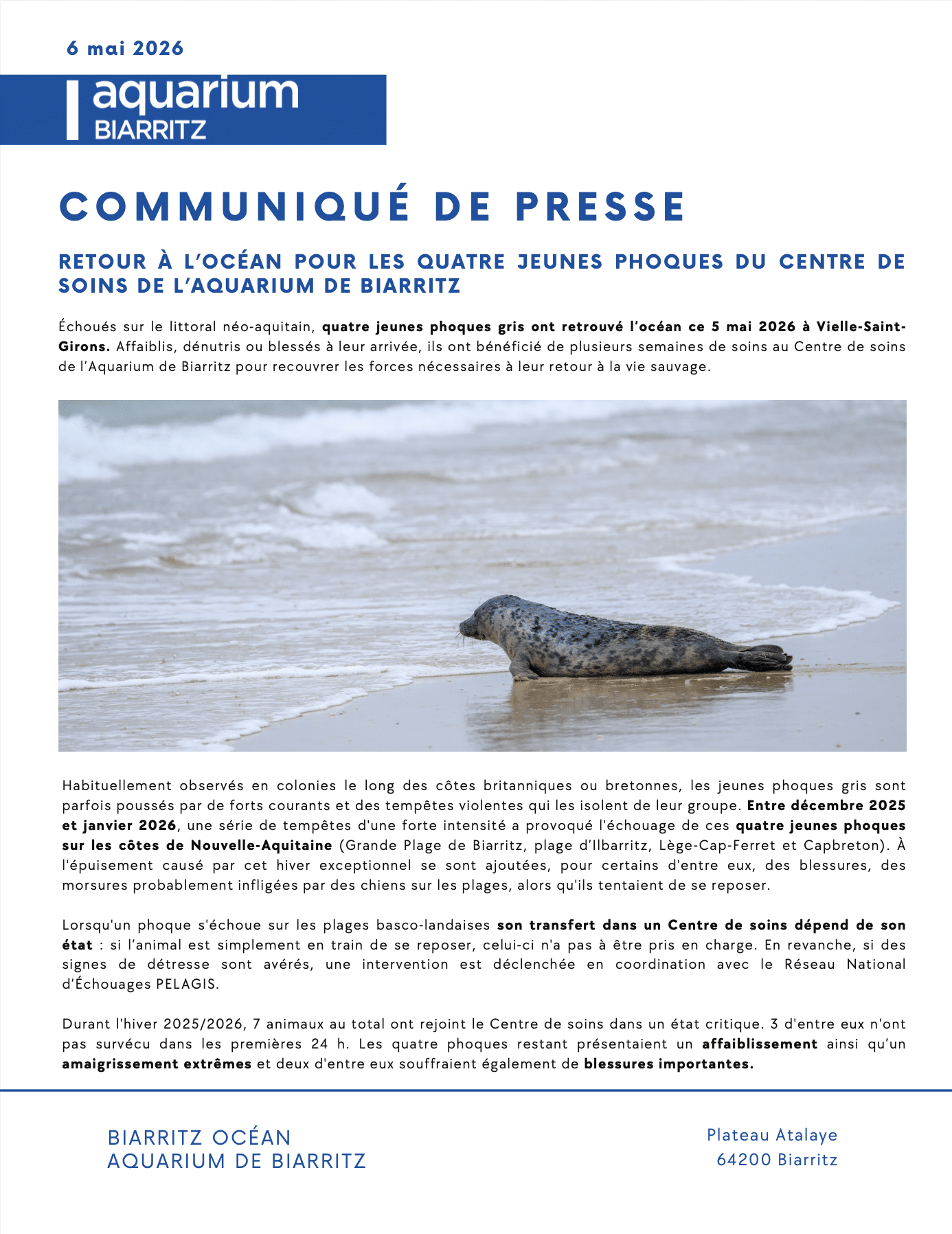 communique-de-presse-relacher-phoque-2026-aquarium-de-biarritz